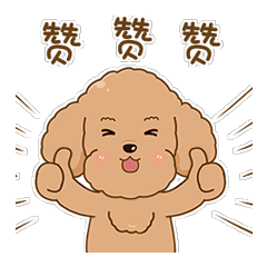 淘氣小泰迪