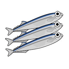 the pacific saury