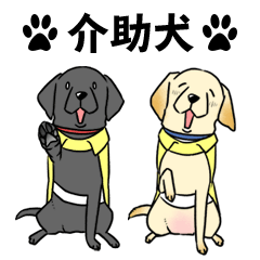 Japan Service Dog Association Labradors