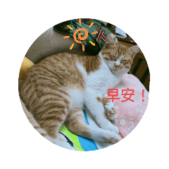 星星寶貝日常生活