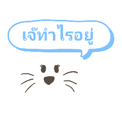 cute cat_20210402133051