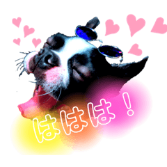yyyyuki_20210402185654