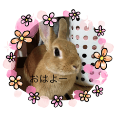 Nagisa_20210402195253