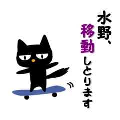Black cat "Mizuno"