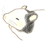 Panda mouse