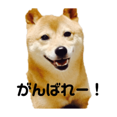hana_20210402175941