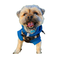 cocoa_20210402190146