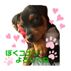 YUKA_20210402201848
