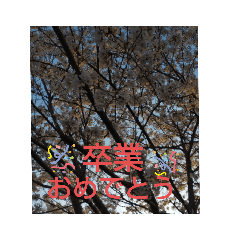 star_20210402210856