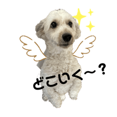 yukari_20210403095626