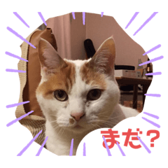 I love neko_20210402215507