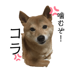 hana_20210402220528