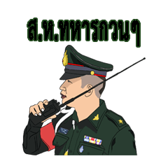 Military inspector