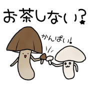 Kinoko-kun