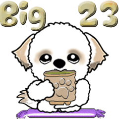 【Big】シーズー犬23『これがあれば』