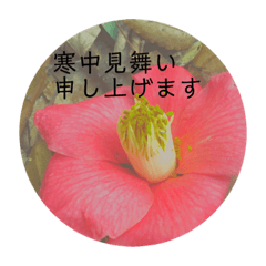 KoToNoHa_JAPANESE NATURE Polite greeting