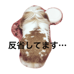 うさぎのふくさん。