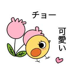 Greetings of the chick