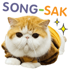 My name is Song-Sak