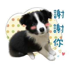 邊境三傻的日常