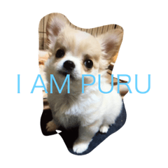He is PURU