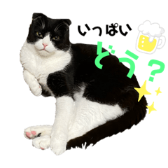 madoshan_20210403021641