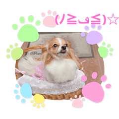 yukari_20210403152846