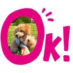 Ayumi_20210403155855