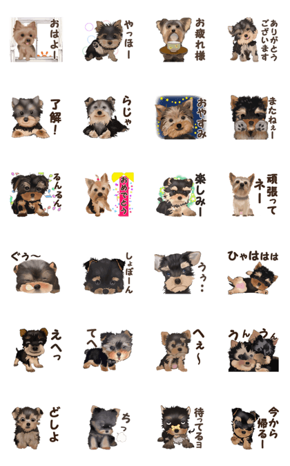 犬 ヨークシャテリア ラバースタンプ スタンプ 乳臭い