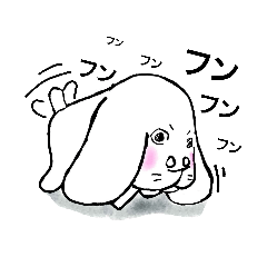 Day- to -day  of  dog