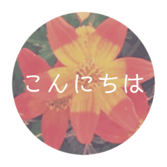 KoToNoHa_MAUVE FLOWER plus Japanese ver.