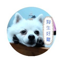 木木and蠢蠢的日常崩壞