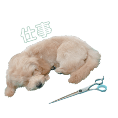 Ayumi_20210403194657