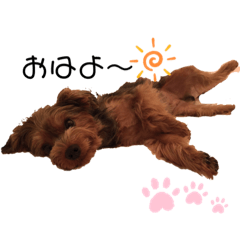 tomomi_20210403201236