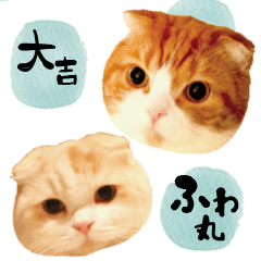 Cat Sticker Daikichi & fuwamaru