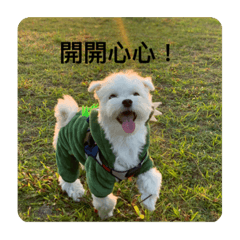 瑪爾濟ㄙ西西的日常生活西