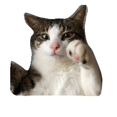 Cats and others