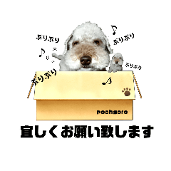 天津甘栗ぷー吾朗4　総集編