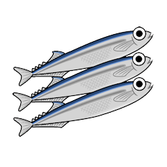 the pacific saury Re.