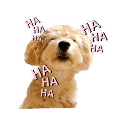 Ayumi_20210404124452