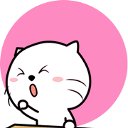 Cutest Cat