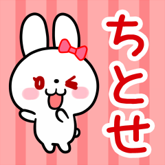 The white rabbit with ribbon "Chitose"