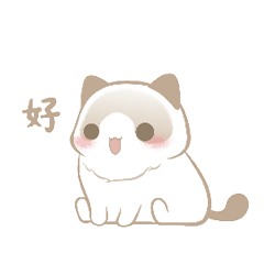 Siamese cat cute so much