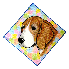 Darling Beagle