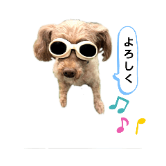 なちゅ1 - LINE スタンプ | LINE STORE