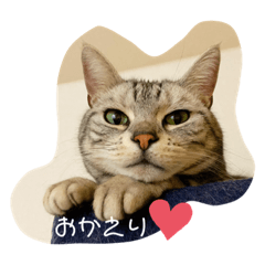 chihiro_20210404163432