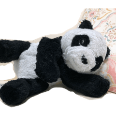 panda_20210404172830