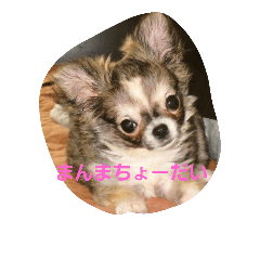 babynonchan