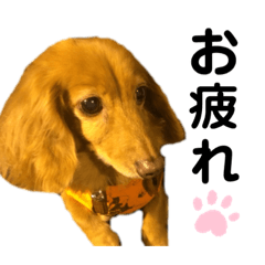 hana_20210404230715