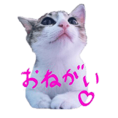 Cute cats' stickers